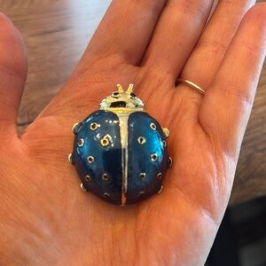 Blue Ladybug Brooch